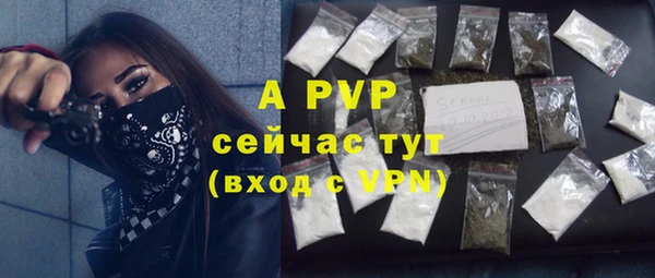 PSILOCYBIN Балабаново
