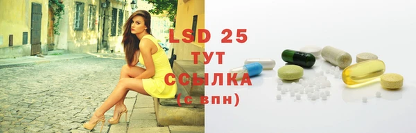 PSILOCYBIN Балабаново