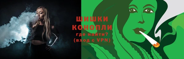 PSILOCYBIN Балабаново