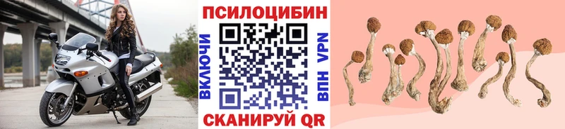 Псилоцибиновые грибы мицелий  Купить  Лысково 